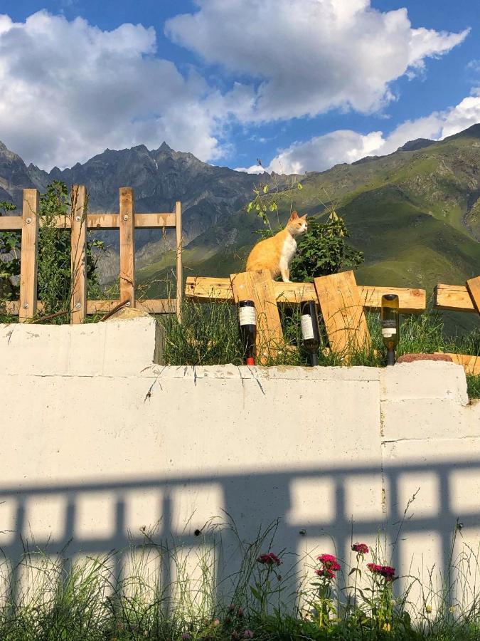 Vache Hotel Казбеги Екстериор снимка